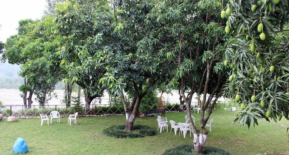 Kanwhizz Hum Tum Resort, Corbett 4